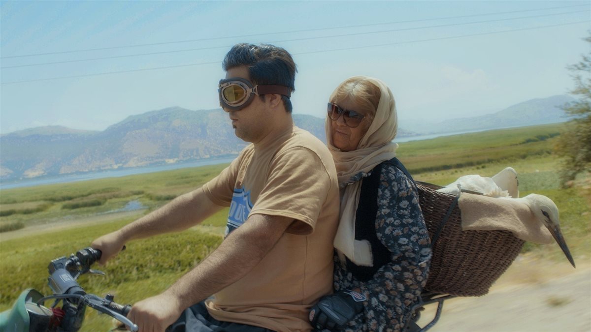 <strong>بانوراما الفيلم الأوروبي</strong>