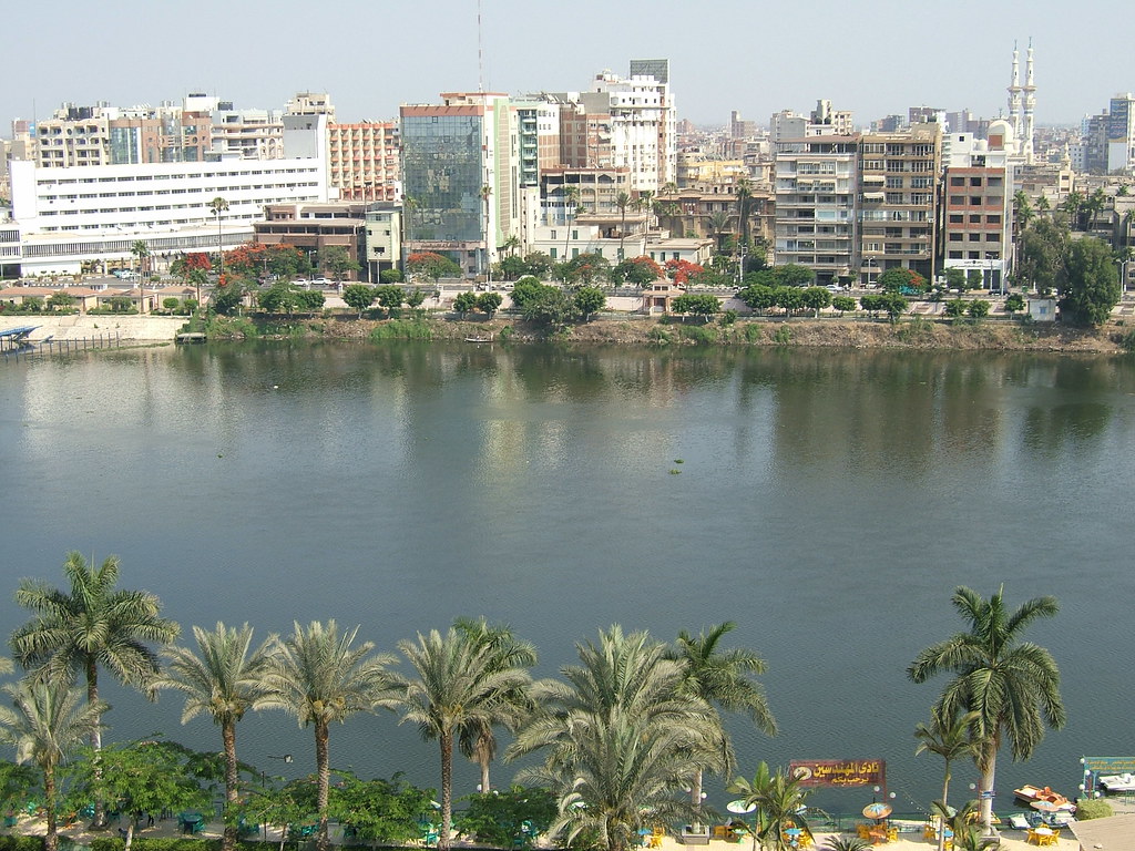 <strong>المنصورة </strong>