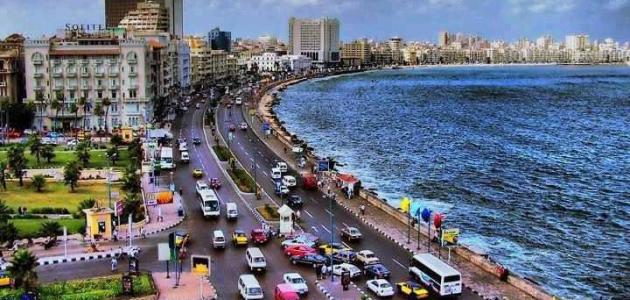 <strong>&nbsp;محافظة الإسكندرية&nbsp;</strong>