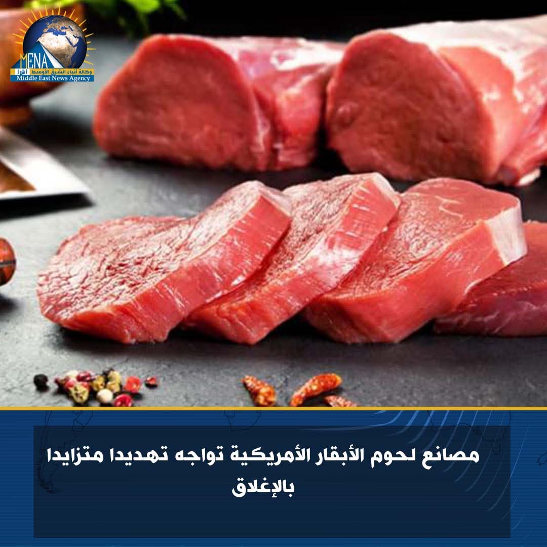 مصانع لحوم الأبقار الأمريكية&nbsp;