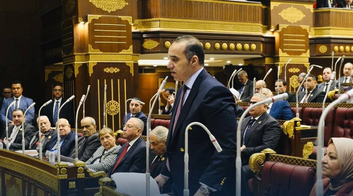 <strong>&nbsp;المستشار محمود فوزى</strong>