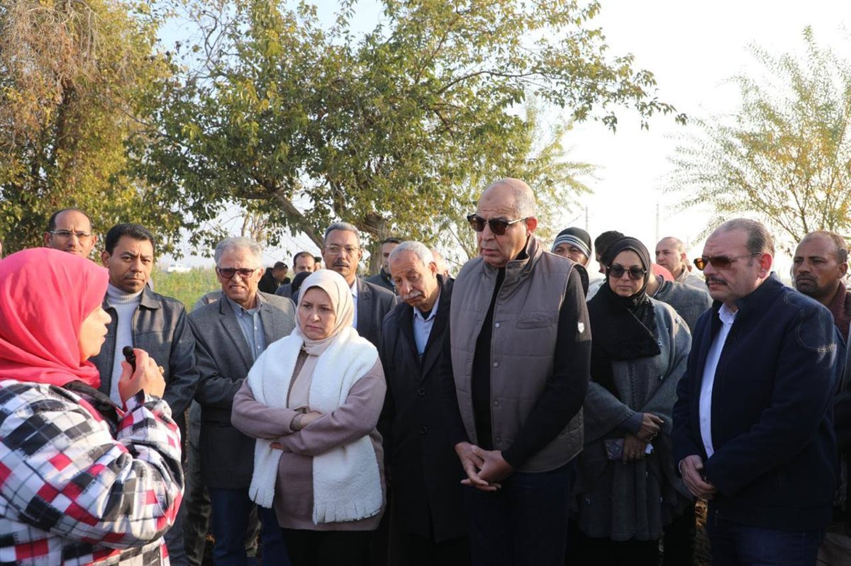 محافظ المنيا