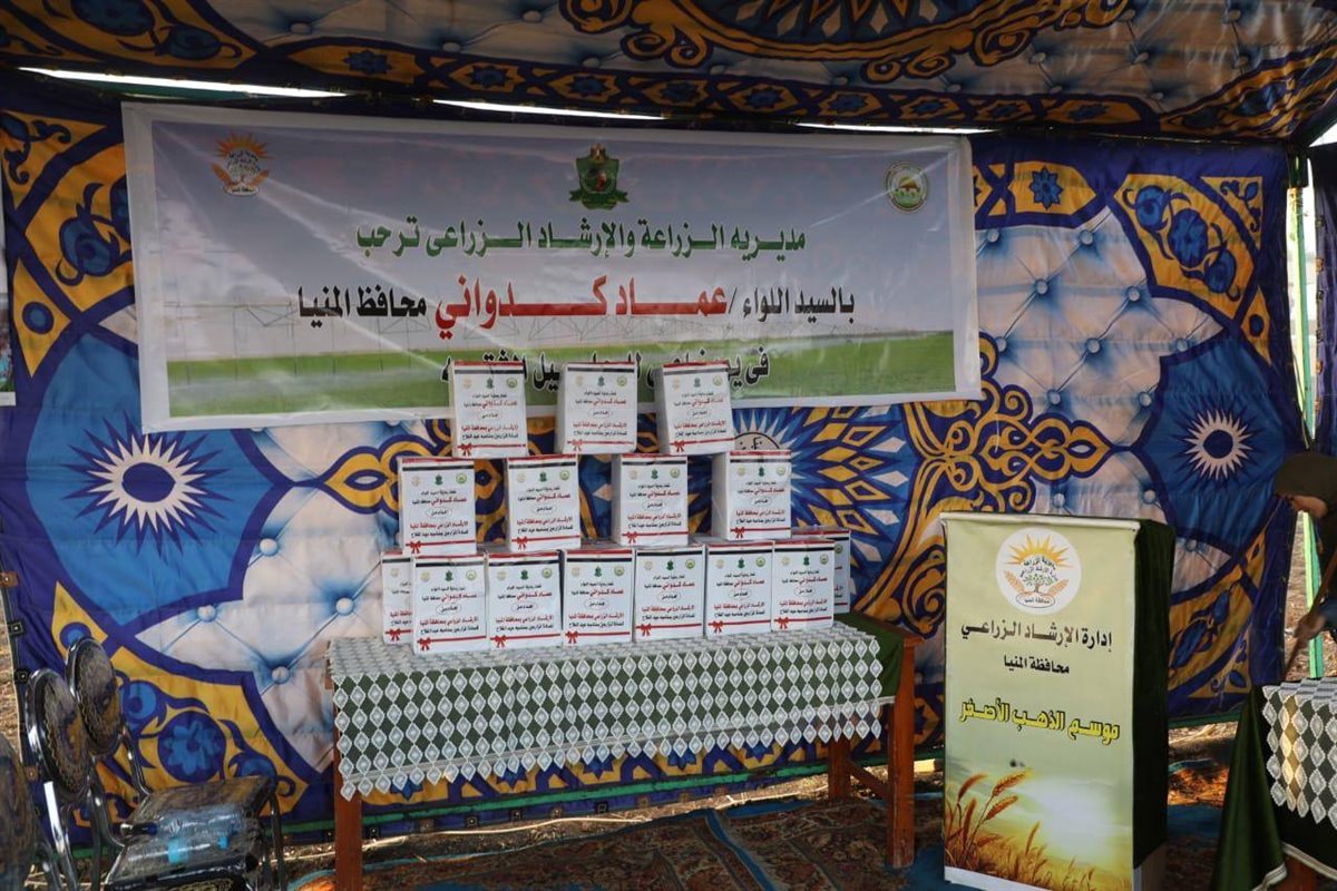 محافظ المنيا