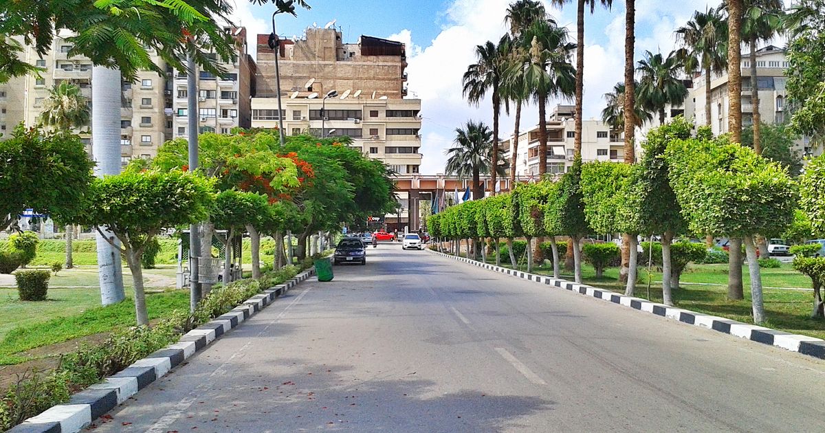 رصف الطرق في الدقهلية