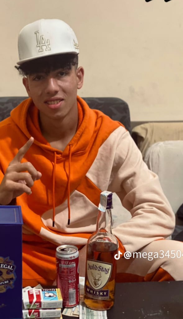 ميجا