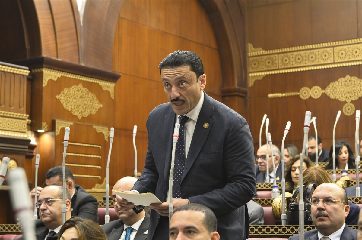 النائب محمد رزق