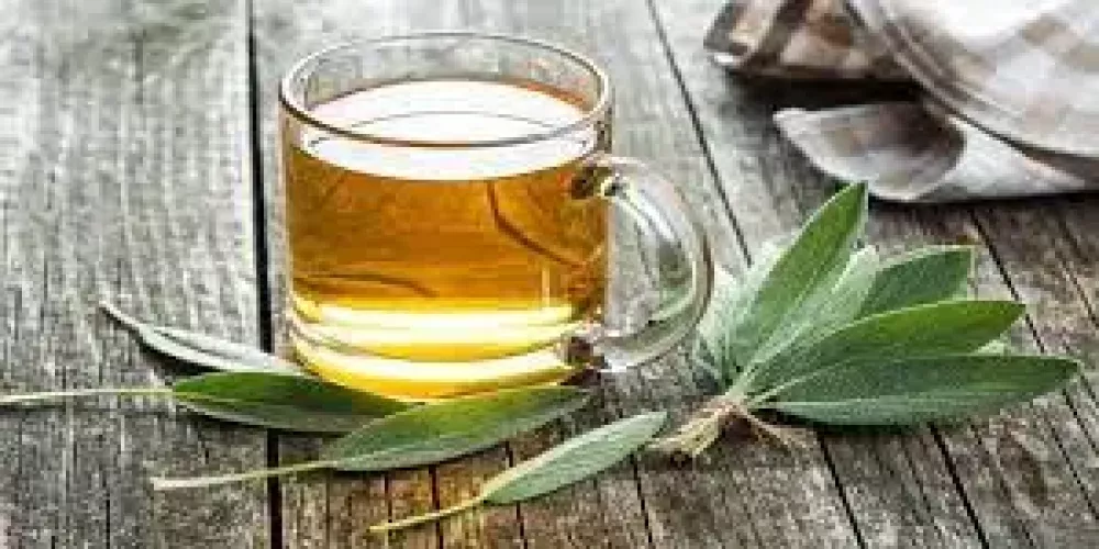 <strong>عشبة المرمرية</strong>