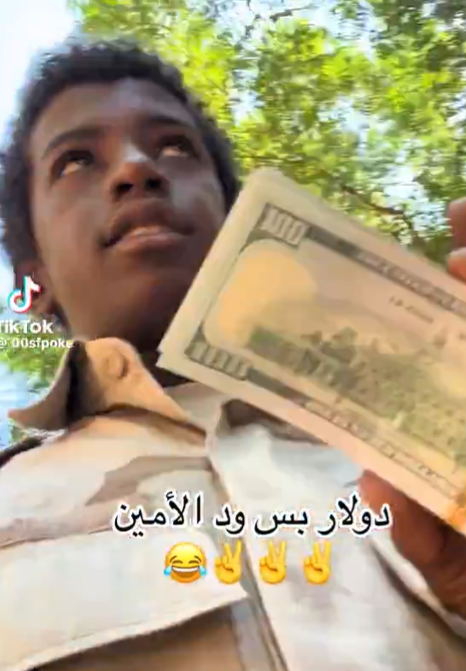 الدعم السريع يسرق خيرات السودان