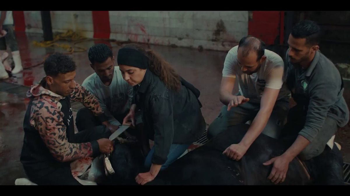 <strong>مسلسل كلهم بيحبوا مودى</strong>