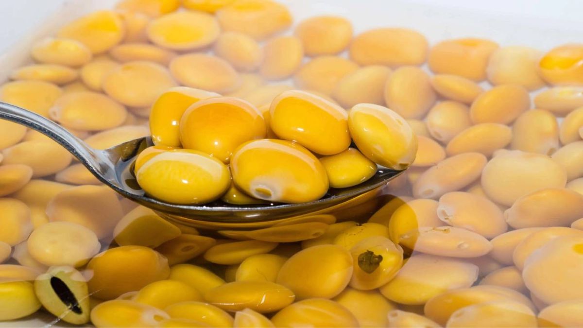 الترمس&nbsp;