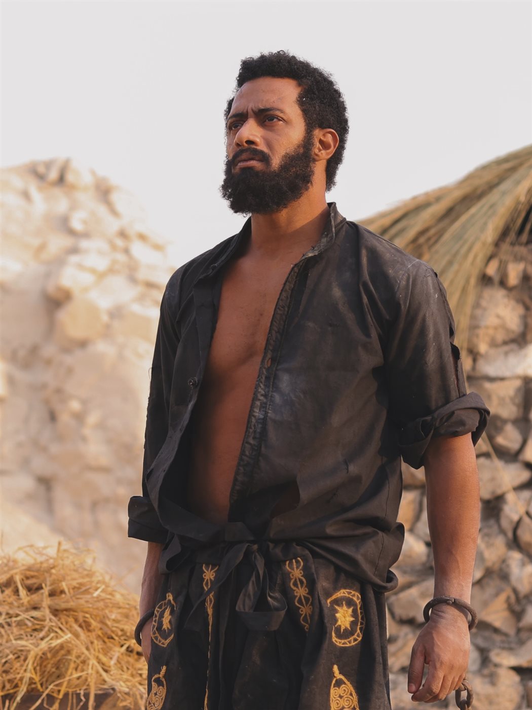 <strong>فيلم أسد</strong>