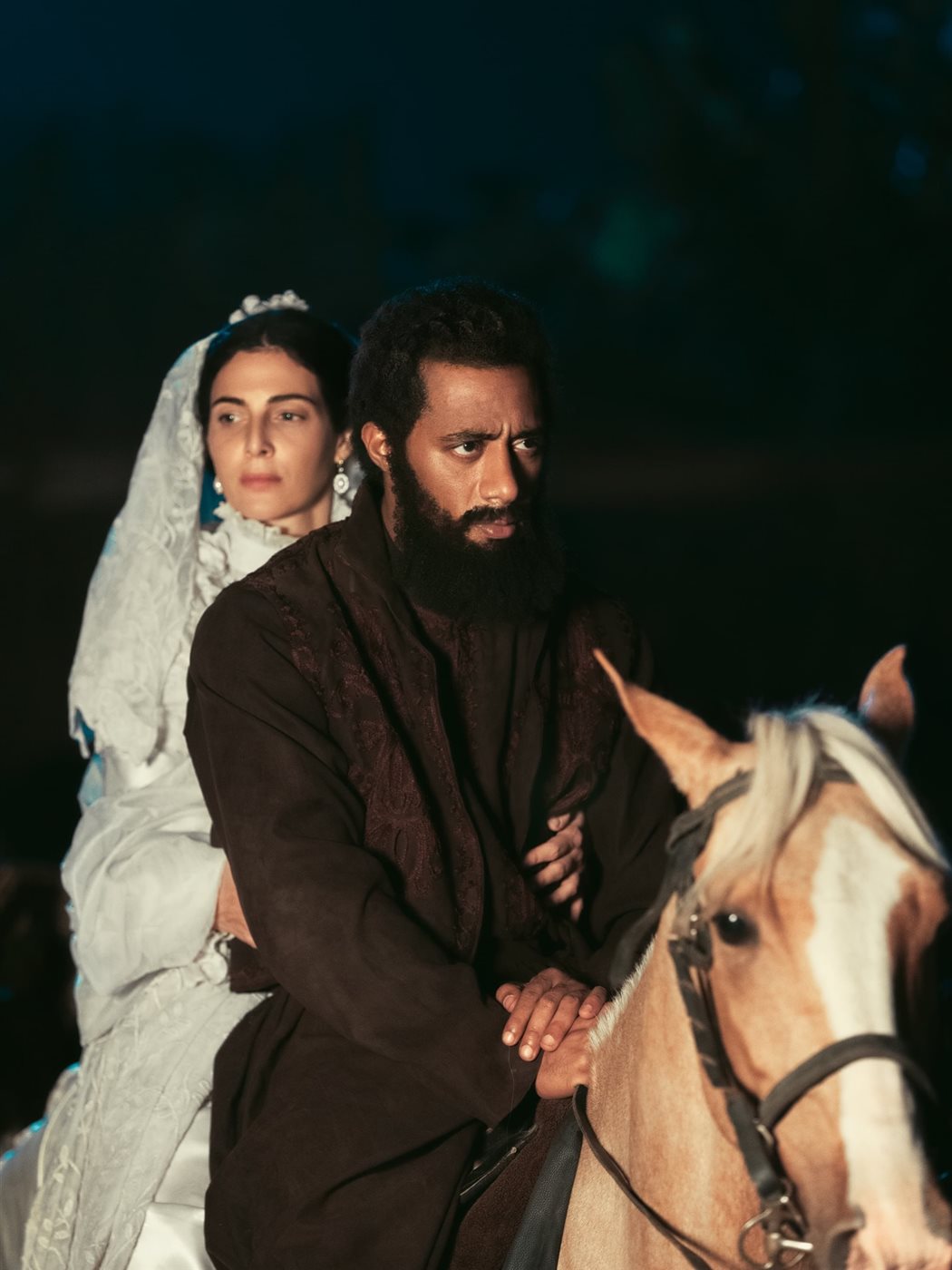 <strong>فيلم أسد</strong>