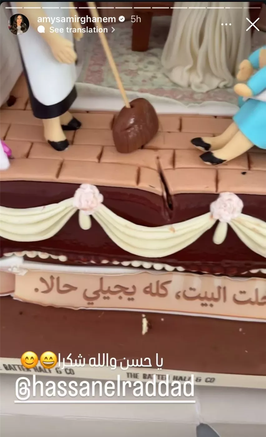 <strong>عيد ميلاد إيمي سمير غانم</strong>