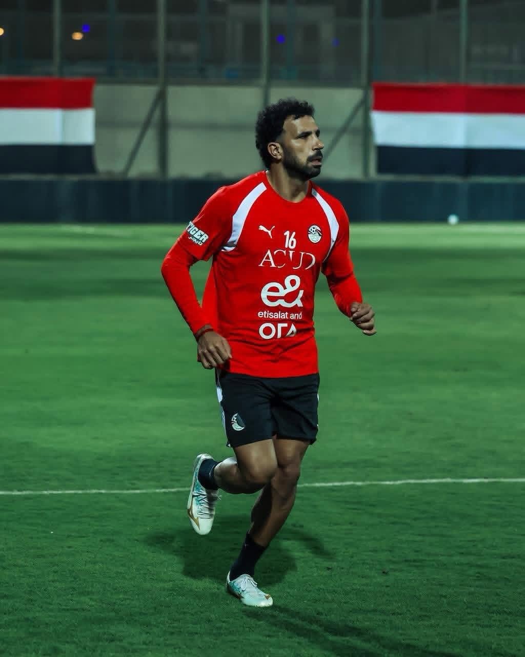 المهدي سليمان