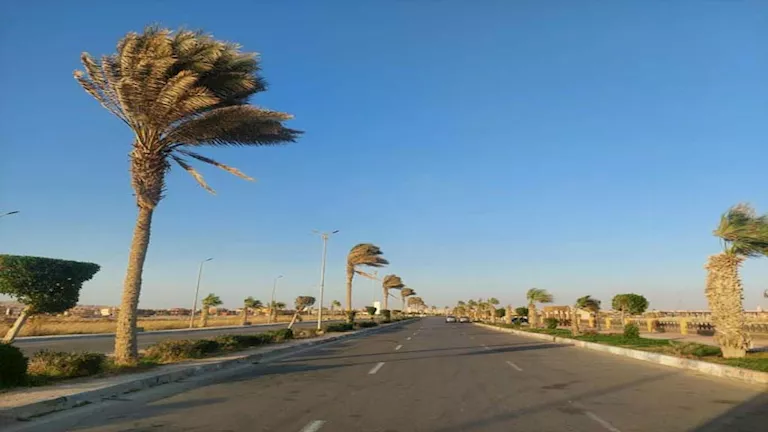 نشاط رياح