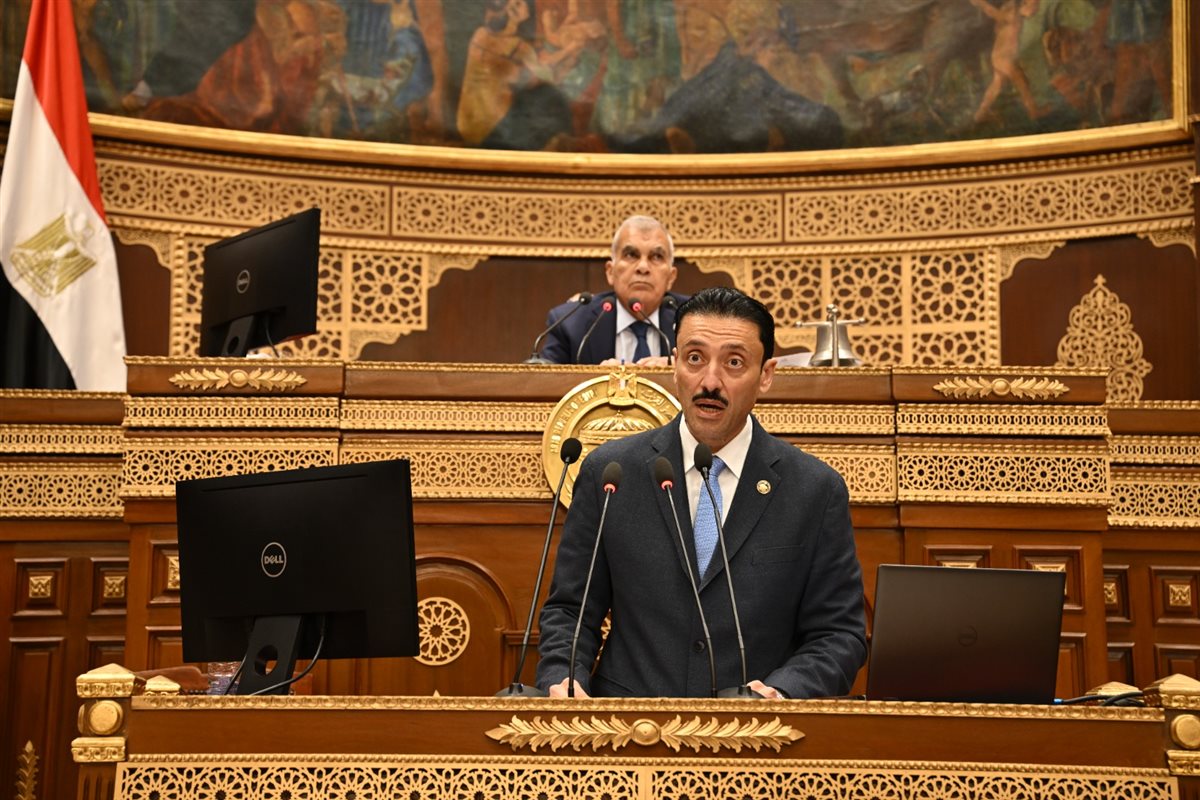 <strong>النائب محمد رزق عضو مجلس الشيوخ</strong>