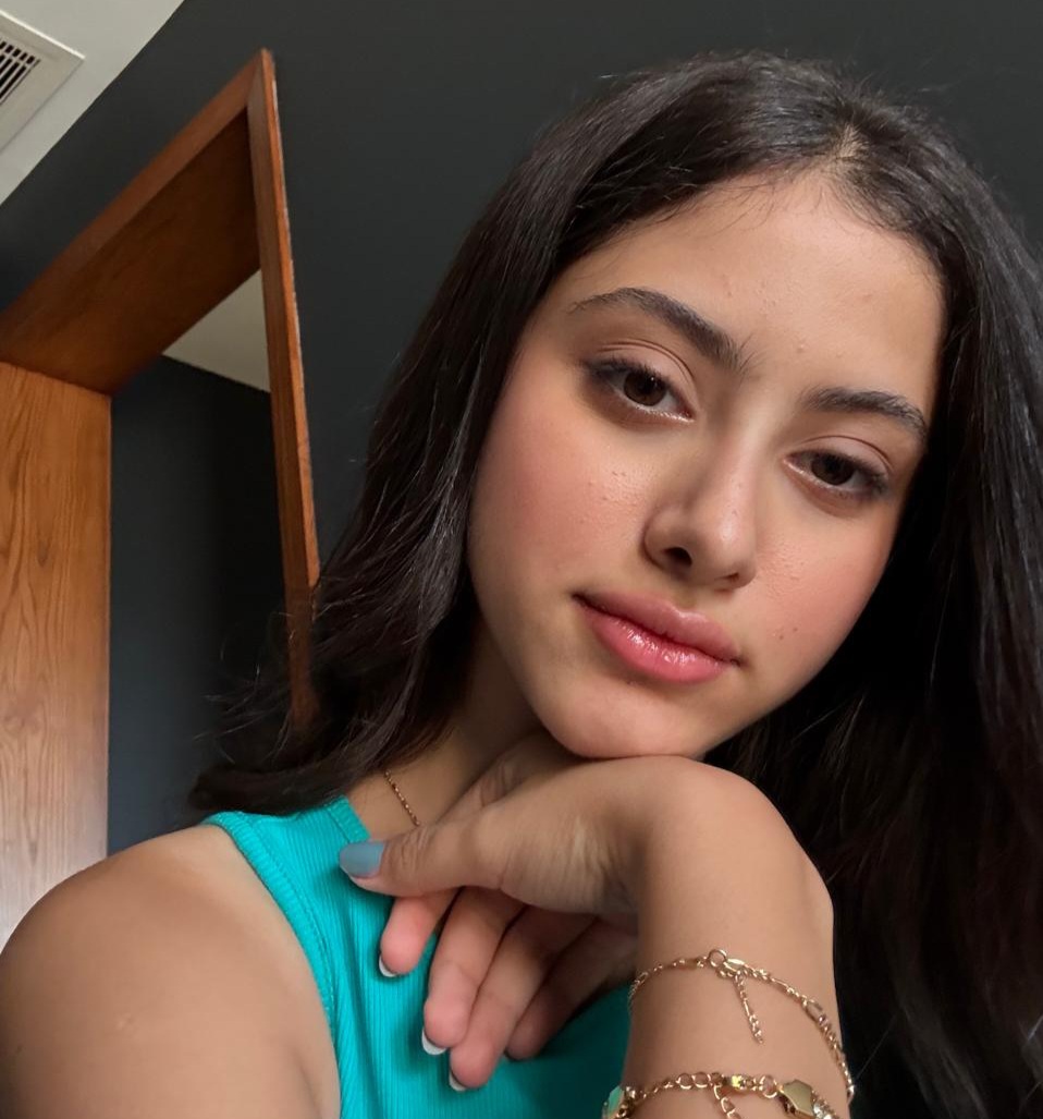 <strong>أيسل رمزي</strong>
