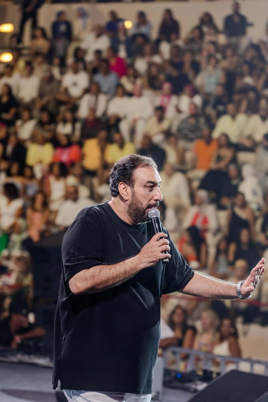 <strong>حسام حسني</strong>