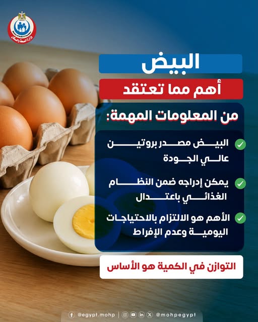 <strong>معلومات مهمة عن البيض</strong>