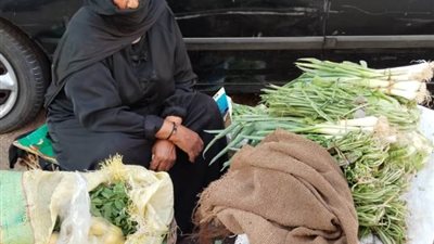 فريدة بائعة الخضار: ببيع بأقل الأسعار عشان الغلابة ونفسي أجوز بنتي