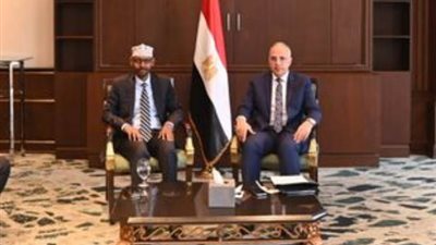 وزير الري يدعو «الصومال» لدعم مبادرة «AWARe»