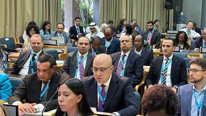 اجتماع الدورة الثانية لجمعية برنامج الأمم المتحدة للمستوطنا