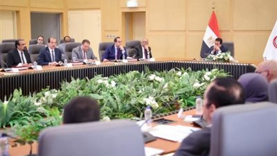 وزير الصحة: لجنة عليا و9 لجان فرعية لتنظيم المؤتمر العالمي للسكان
