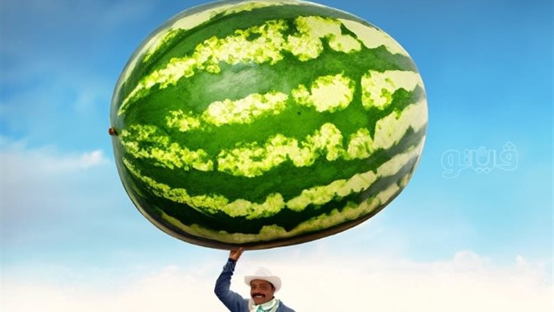 بوستر فيلم مرعي البريمو