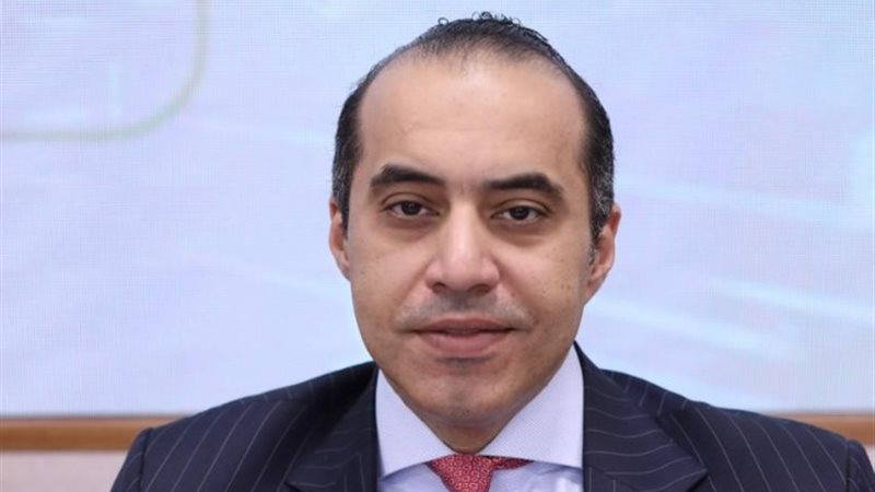 المستشار محمود فوزي