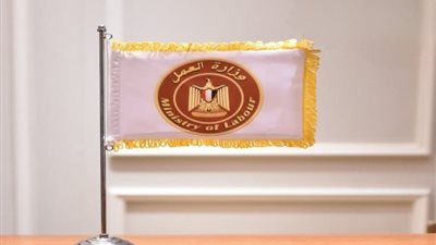 في دولة 30 يونيو، «العمل» ترصد نتائج مبادرات التوعية بالسلامة والصحة المهنية