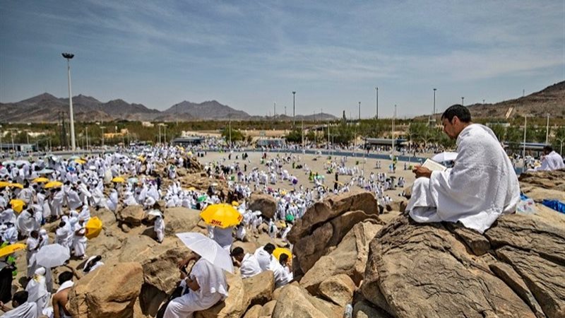 الحجاج