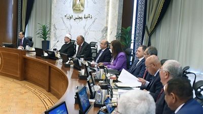 «الحكومة» تستعرض الخطة الاستثمارية المقدمة من «ألستوم» الفرنسية
