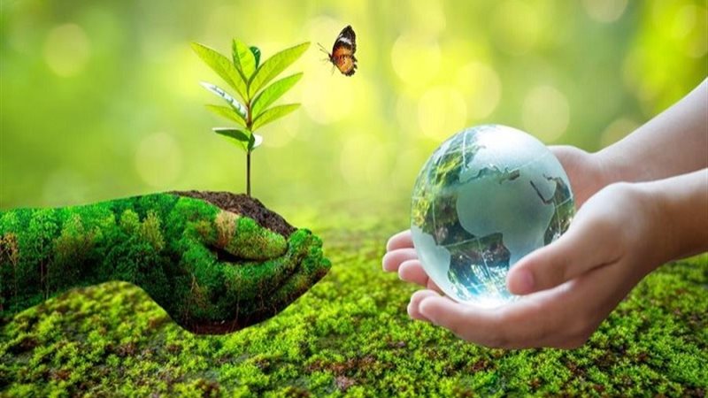 مشروعات بيئية متنوعة