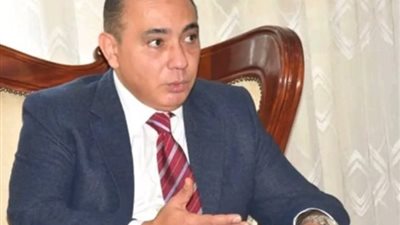 سفير مصر بكينيا: إشادات لمصر خلال فترة رئاستها للكوميسا