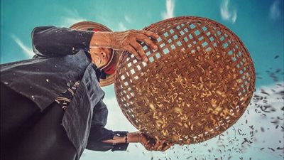 انعقاد قمة الأمم المتحدة للنظم الغذائية بالعاصمة الإيطالية روما