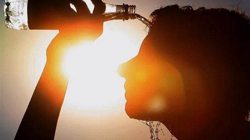 ضربات الشمس والإجهاد الحراري