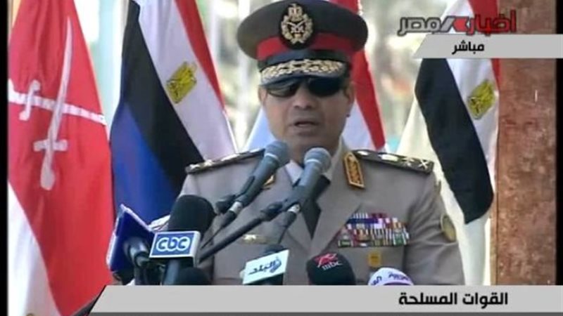 ذكرى تفويض الرئيس السيسي
