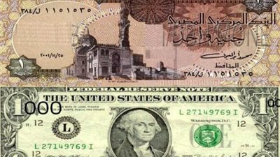 أسعار الدولار مقابل الجنيه المصري اليوم السبت 5-8-2023