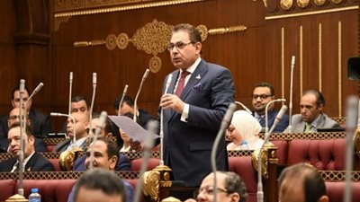 «برلماني» يطالب بتعزيز التبادل التجارى بين مصر والبحرين