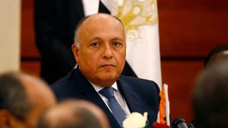 سامح شكري وزير الخارجية