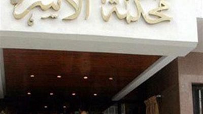 ضربها وخطف ابنتها الرضيعة.. قصة حب لزوجين تنتهى بخلع فى المنوفية