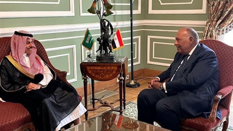 وزير الخارجية سامح شكري ونظيره السعودي الأمير فيصل بن فرحان