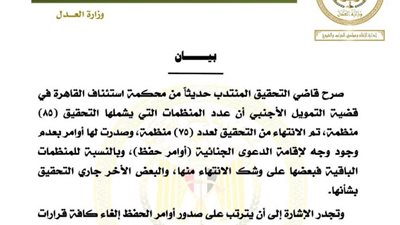 في قضية التمويل الأجنبي.. إلغاء المنع من السفر بحق 75 منظمة مدنية