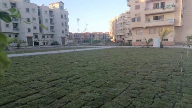 أعمال الزراعه بجهاز دمياط