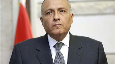 وزير الخارجية ونظيره الإيطالي يبحثان تعزيز العلاقات الاقتصادية والاستثمارية