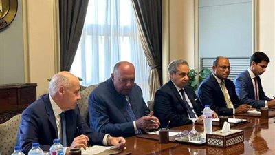وزير الخارجية يبحث تطوير المنصة الإلكترونية للخدمات القنصلية