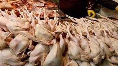 ضبط «أجنبي» يمتلك ويدير مطعم بدون ترخيص بمدينة نصر