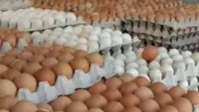 أسعار البيض اليوم الثلاثاء 29-8-2023 في الأسواق