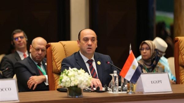 الوزير عمرو عادل