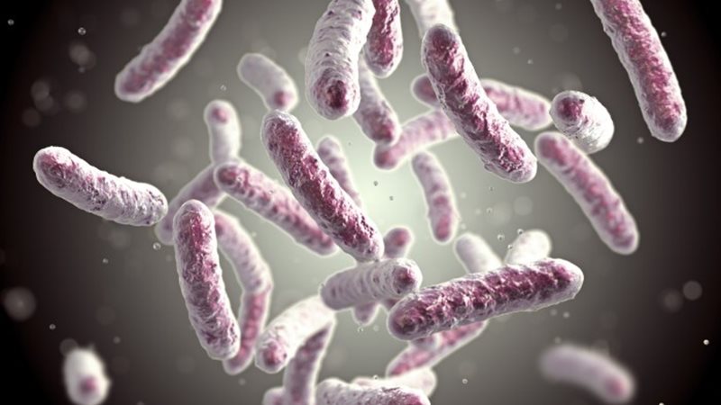 داء الفيالقة أسباب واعراض وعلاج